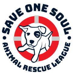 Save One Soul Animal Rescue League